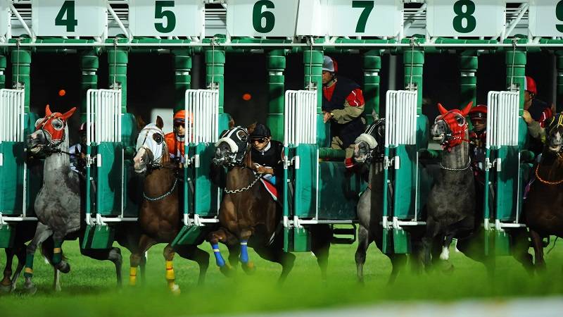 賽馬怎麼玩？高手秘笈，讓你在遊戲中輕鬆取勝！