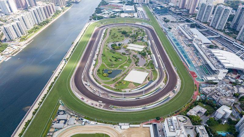 烏龍派出所阿兩超愛玩賽馬,3步驟破解賽馬賺錢! 烏龍派出所阿兩超愛玩賽馬,3步驟破解賽馬賺錢!